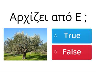 To γράμμα Ε, ε