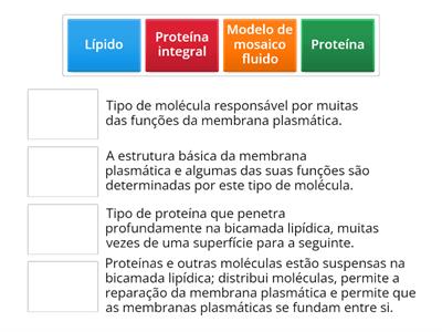 Membrana Plasmática 4