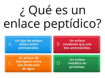  Enlace peptídico