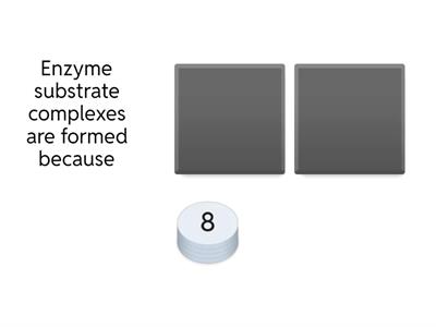 Enzyme theory