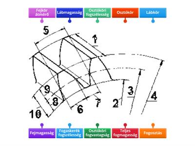 Fogaskerék részei