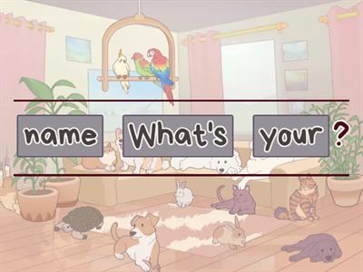 Personal questions - osobní otázky