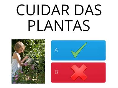 GEOGRAFIA - ATITUDES MEIO AMBIENTE -  AEE