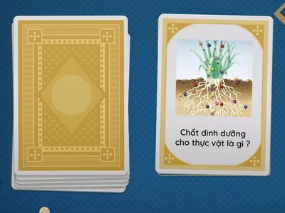 vai trò của chất dinh dưỡng đối với sinh vật