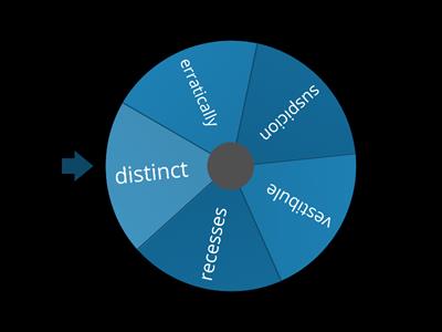 Cogheart Chapter 10 vocab wheel