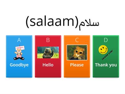 Pushto to English Vocabulary Quiz Game