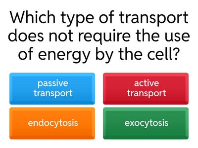 Cell Processes