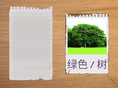 Время учить китайский. 6 класс. Урок 8. 颜色