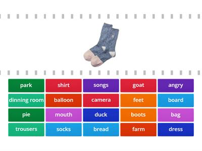 Starters Test - Vocabulary 