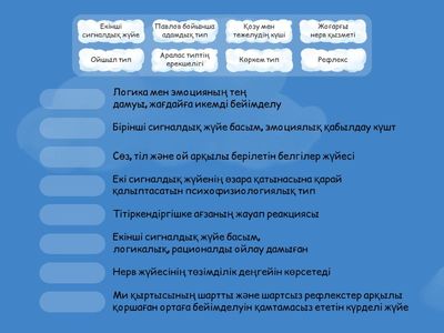 Павлов жуйке жуйеси