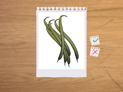 English World Flashcards Units 1-6