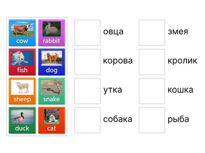 animals школа