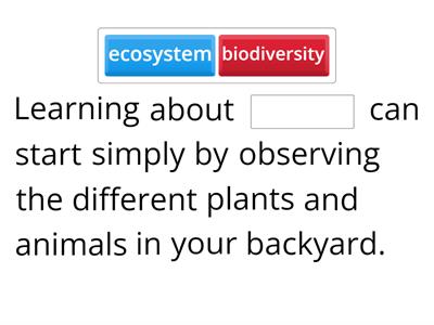 Fill in the blanks with the missing words