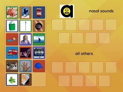 Nasals sort - pics only