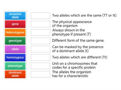 Genetic vocabulary match up