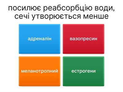 Гормони та їх функції