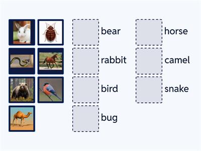 Animals Can Move (RAZ B)