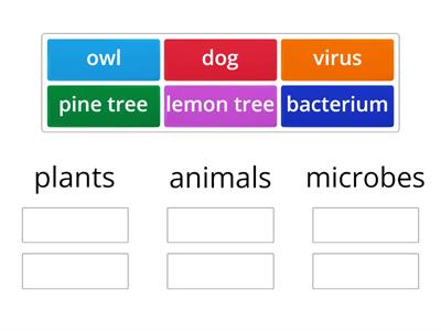 Plants vs animals