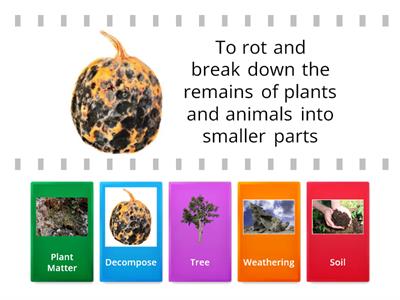 Soil Matching