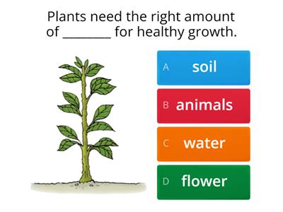 Science P.2 u1 Needs of Plants 