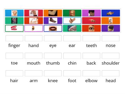 Parts of the body