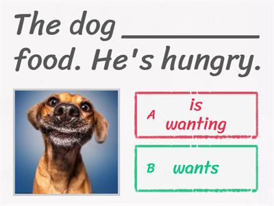 stative and active verbs