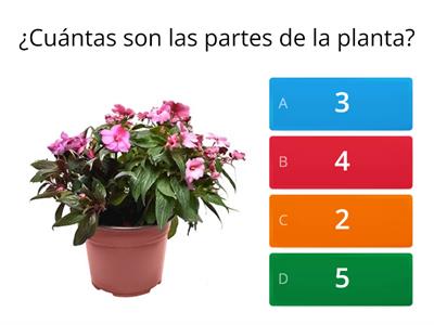 AMO A LAS PLANTAS