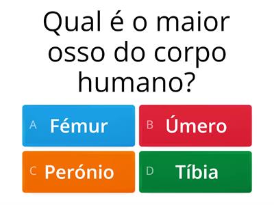 QUIZZ Anatomia Humana P15