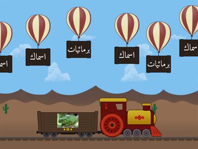 (مجموعة الحيوانات) زينة زاهر /٢ب