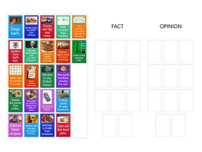 Which is it - Fact or Opinion