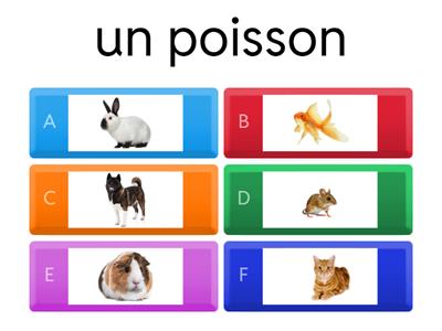 Pets in French