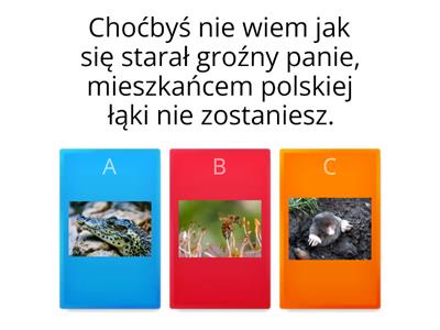 Wielki quiz wiedzy o łące dla przedszkolaków