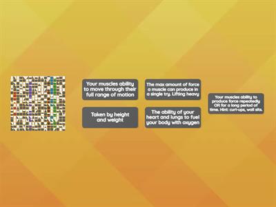 5 Components of Fitness