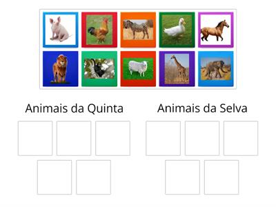 Animais