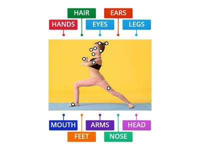 PARTS OF THE BODY - F2 - UNIT 5