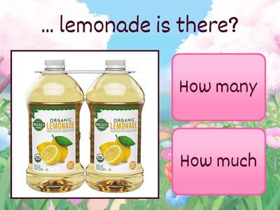 How much or How many'