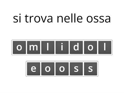 le ossa e il sistema scheletrico