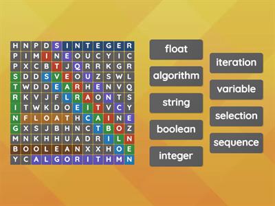 Python Programming Wordsearch