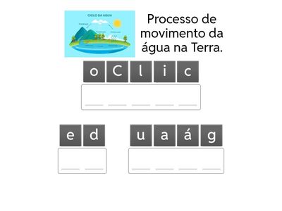 A Importância da vegetação