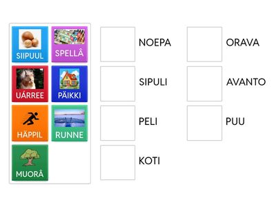 Viälppá eellim - Siipuul