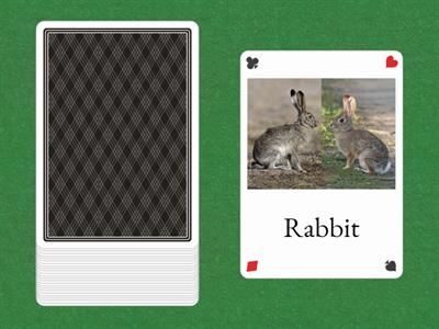 Headbands Guessing Game #3