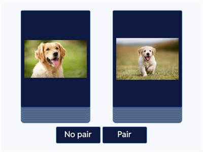 Parent Baby Pair or No Pair