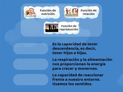 Las funciones vitales