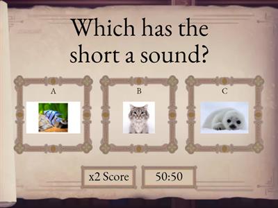 Language Arts Fall Midterm 2024 Study Guide