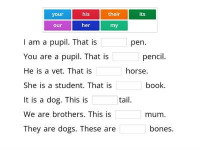 Possesive adjectives 4 revision