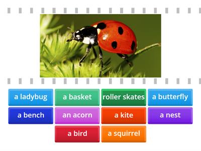 Picnic, spot the differences: Words