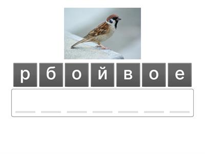 Словарные слова 1 класс