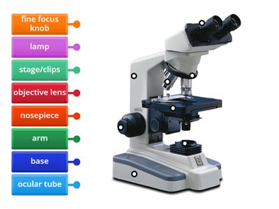 microscope game