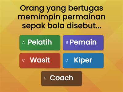 Sepak bola 