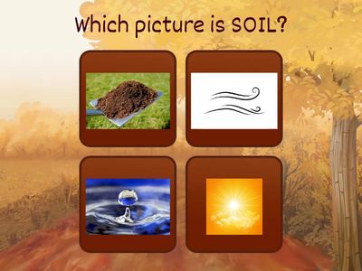 Plants CKLA Kindergarten